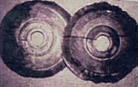 One of ‘Wegener’srsquo; polaroids of two of the Dropa stones